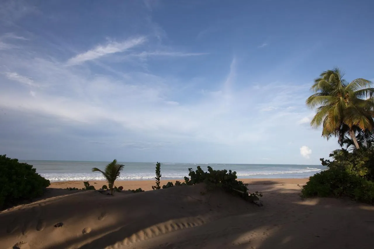 Wyndham Grand Rio Mar Rainforest Beach And Golf Resort Рио-Гранде
