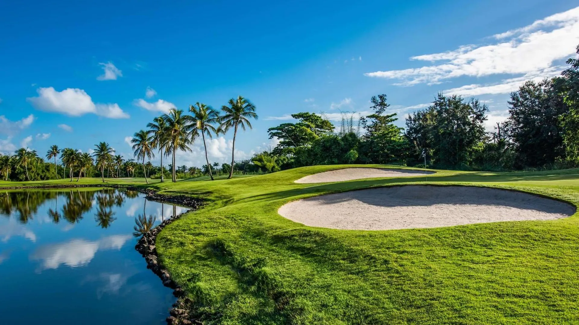 Wyndham Grand Rio Mar Rainforest Beach And Golf Resort Río Grande