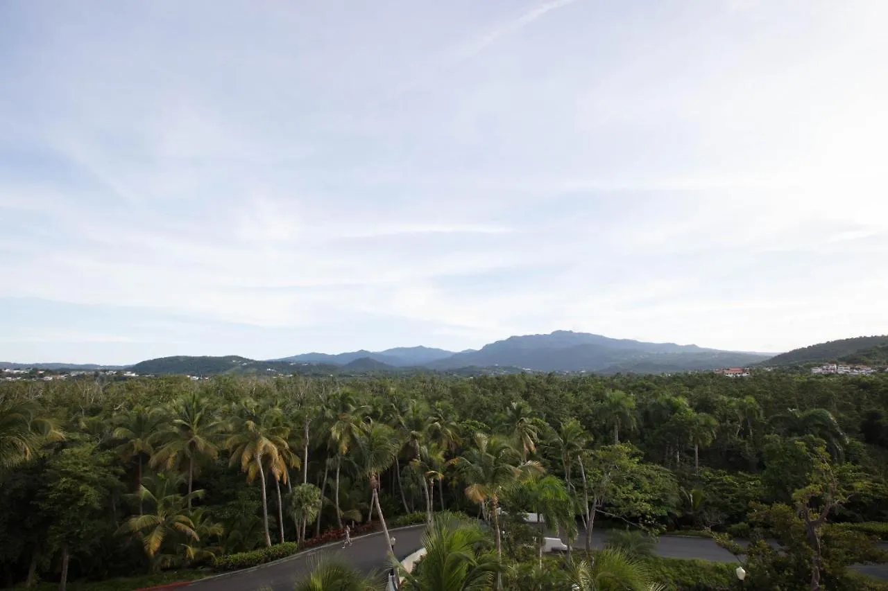 ****  Wyndham Grand Rio Mar Rainforest Beach And Golf Resort Río Grande Puerto Rico